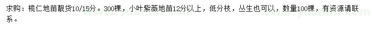 求購10-15分欖仁、12公分以上小葉紫薇