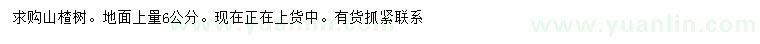 求購6公分山楂樹