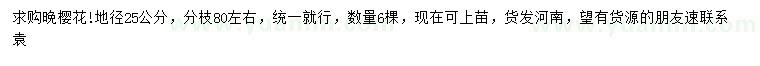 求購地徑25公分晚櫻