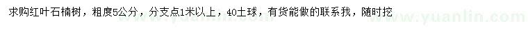 求購(gòu)5公分紅葉石楠