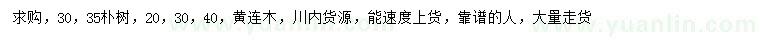 求購30、35公分樸樹、20、30、40公分黃連木