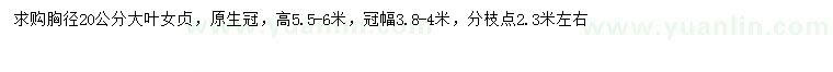 求購胸徑20公分大葉女貞