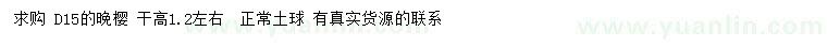 求購地徑15公分晚櫻