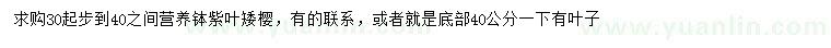 求購(gòu)30-40公分紫葉矮櫻