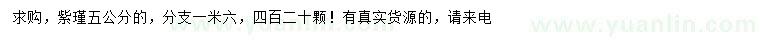 求購5公分紫瑾