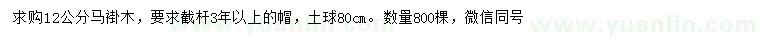 求購12公分馬褂木