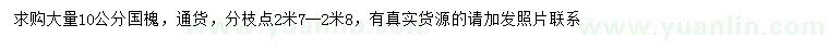 求購(gòu)10公分國(guó)槐
