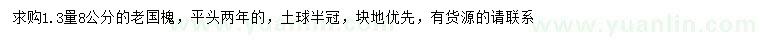 求購1.3米量8公分老國槐