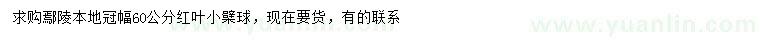 求購冠幅60公分紅葉小檗球