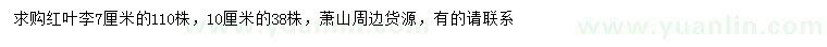 求購7、10公分紅葉李