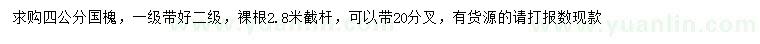 求購4公分國槐