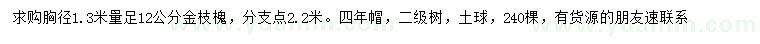 求購1.3米量12公分金枝槐