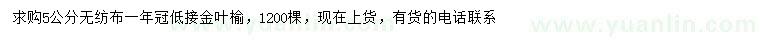 求購5公分金葉榆