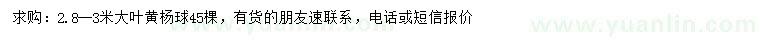 求購(gòu)2.8-3米大葉黃楊球