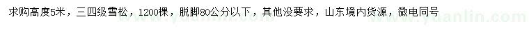 求購高5米雪松