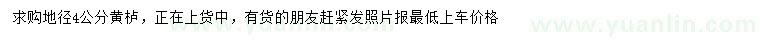求購地徑4公分黃櫨