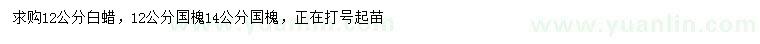 求購(gòu)12公分白蠟、12、14公分國(guó)槐
