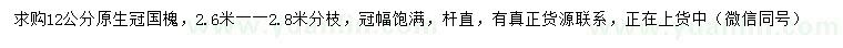 求購12公分國槐