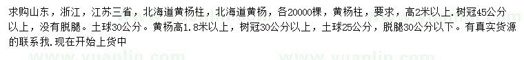 求購(gòu)高2米以上北海道黃楊柱、高1.8米以上北海道黃楊