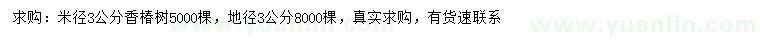 求購米徑3公分、地徑3公分香椿