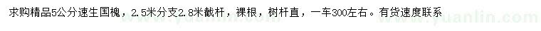 求購5公分速生國槐