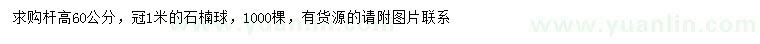 求購冠幅1米石楠球