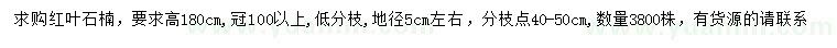 求購(gòu)地徑5公分左右紅葉石楠