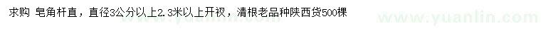 求購3公分以上皂角