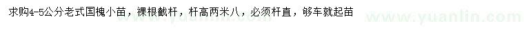求購4-5公分老式國槐