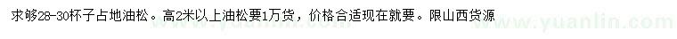 求購高2米以上油松