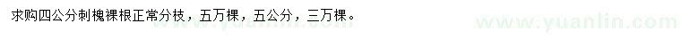 求購4、5公分刺槐