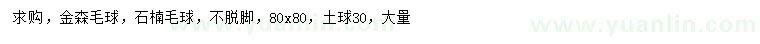 求購80公分金森女貞球、石楠球