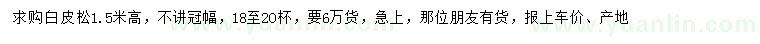求購(gòu)高1.5米白皮松