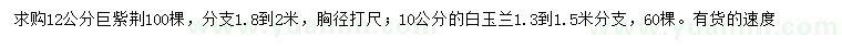 求購胸徑12公分巨紫荊、10公分白玉蘭