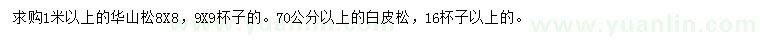 求購0.7、1米以上華山松