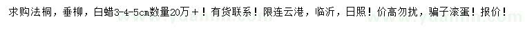 求購法桐、垂柳、白蠟
