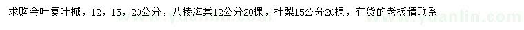 求購金葉復(fù)葉槭、車梁木、杜梨