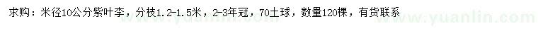 求購(gòu)米徑10公分紫葉李