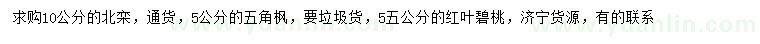 求購北欒、五角楓、碧桃