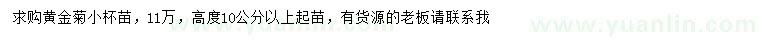 求購高10公分以上黃金菊