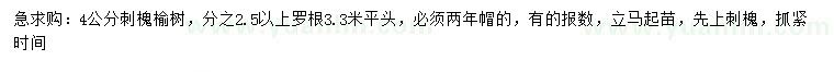 求購4公分刺槐、榆樹