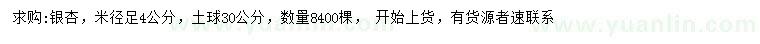 求購米徑4公分銀杏