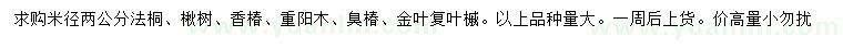 求購(gòu)法桐、楸樹、香椿等