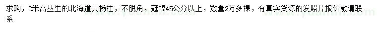 求購高2米叢生北海道黃楊柱