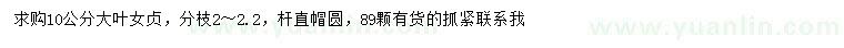 求購(gòu)10公分大葉女貞