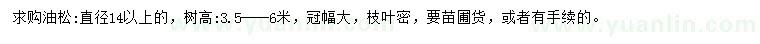 求購(gòu)14公分以上油松		