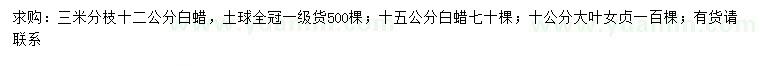求購12、15公分白蠟、10公分大葉女貞