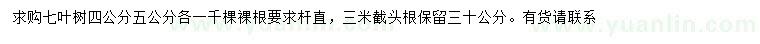求購(gòu)4、5公分七葉樹(shù)