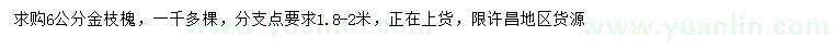 求購6公分金枝槐