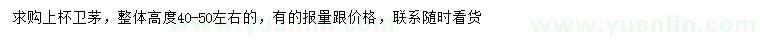求購高40-50公分左右衛(wèi)矛